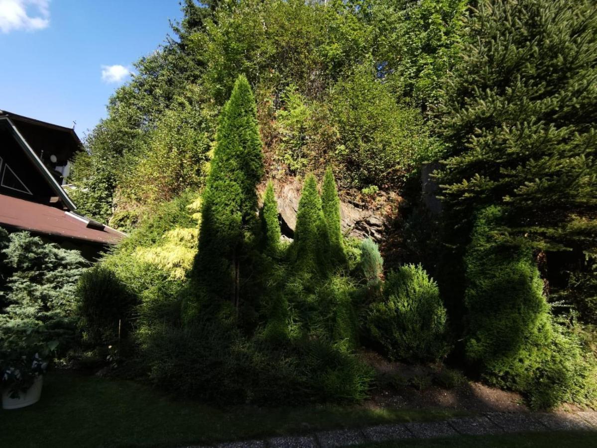 Apartmán Haus Am Bach Kirchberg in Tirol Exteriér fotografie
